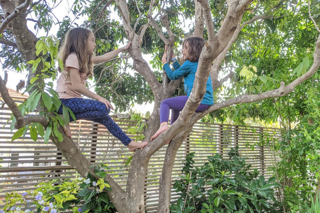 שירה ונעמה מטפסות על העץ. מקצב של חופש