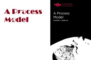 A Process Model book cover